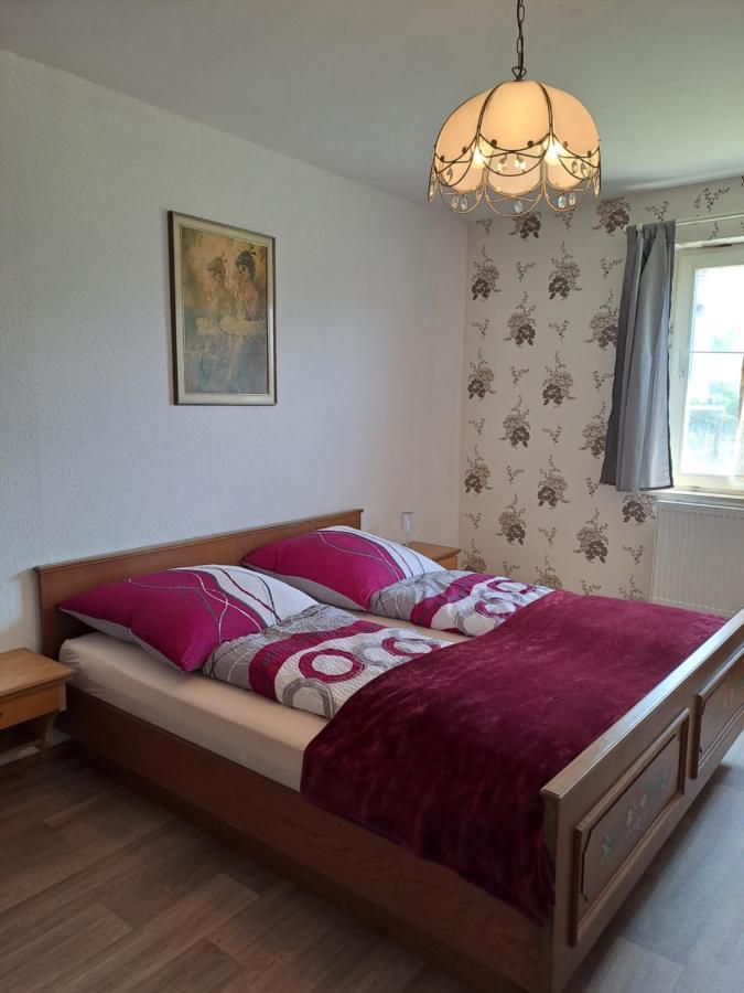 Keller'S Ferienwohnung An Der Saale Schwarzenbach an der Saale 외부 사진
